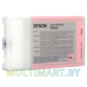 Картридж Epson C13T603C00 картинка 2